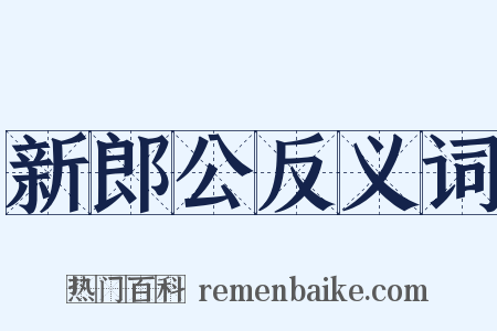 新郎公反义词是什么意思的图片
